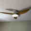 Customer photo 2 of 2