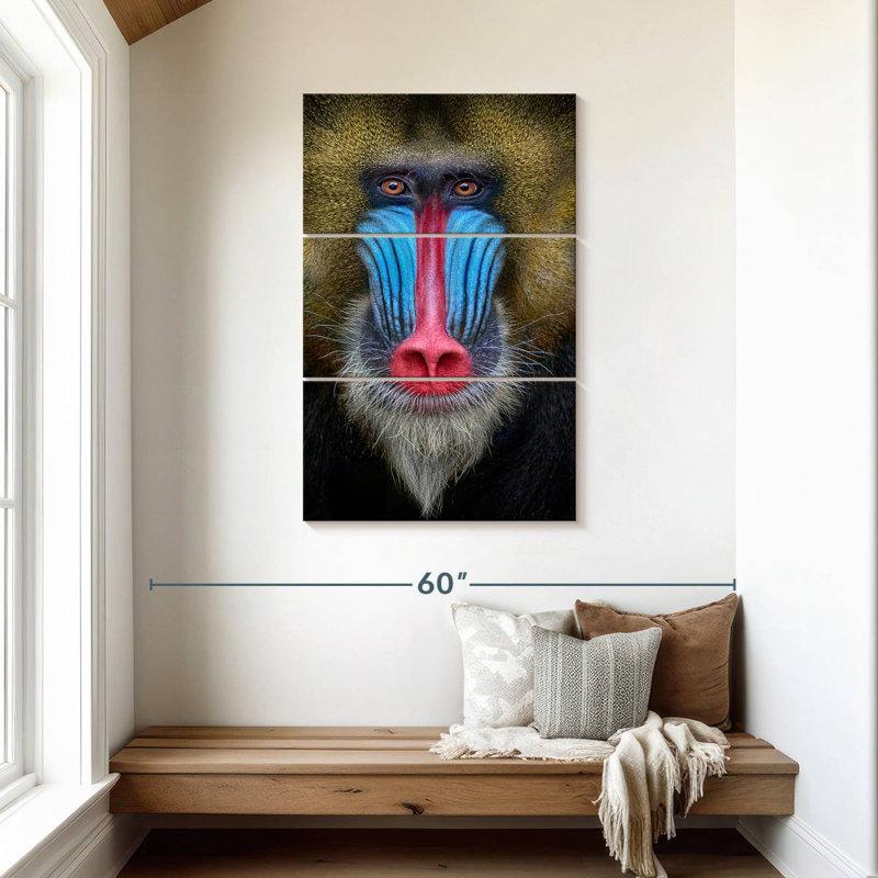 Brampt Mandrill Monkey