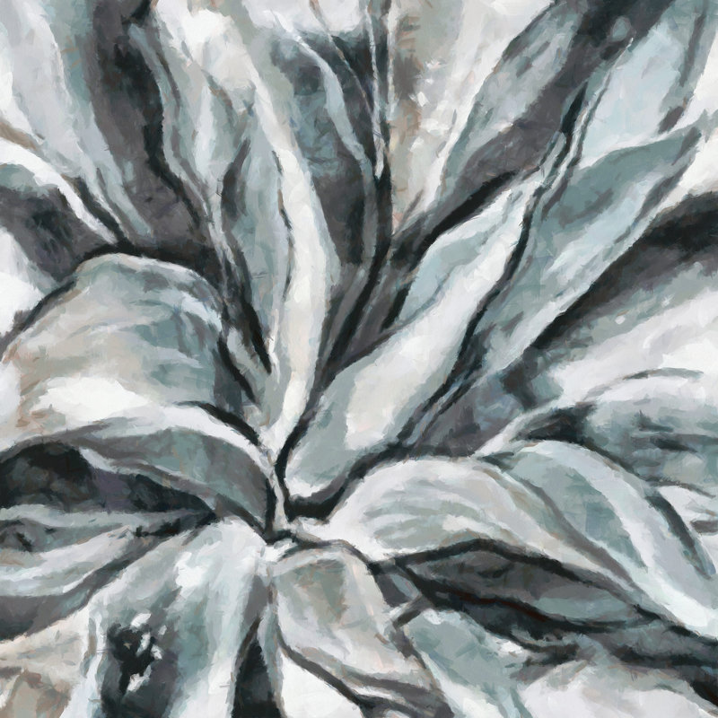Echeveria Black Knight - reproduction d'art sur toile tendue, H 16 po x l 16 po x P 1,5 po