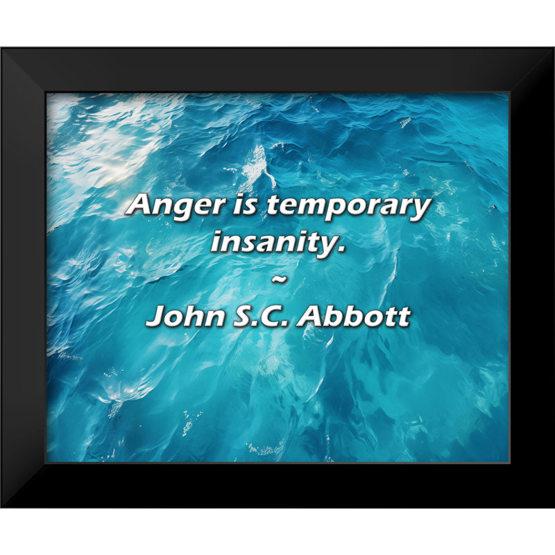 Citation de John S.C. Abbott: La colère est une folie temporaire.