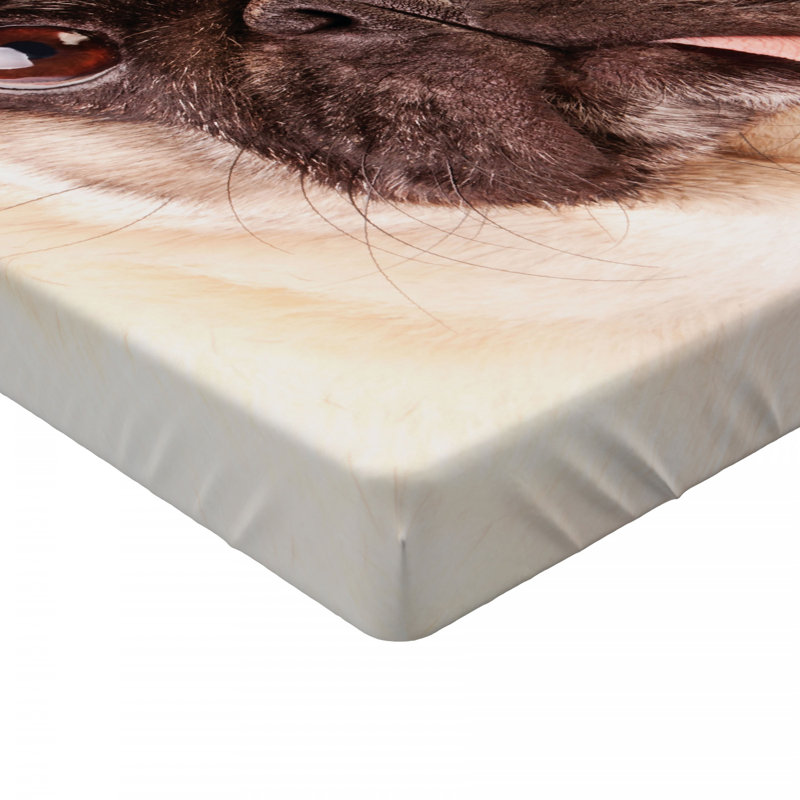 Microfiber Fitted Sheet, Twin Fitted Sheet