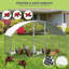 Chicken Coop-526874734