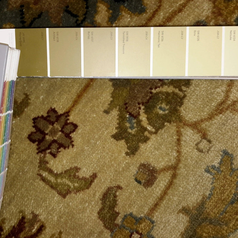Katona Hand Woven Cotton and Wool Oriental Area Rug