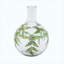 Vase en verre transparent 11 "avec cou élancé H 11", motifs botaniques verts et dorés, vase à fleurs décoratif