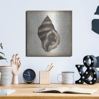  «Shell 2» par Erin Clark, art mural en métal, 36 po x 36 po
