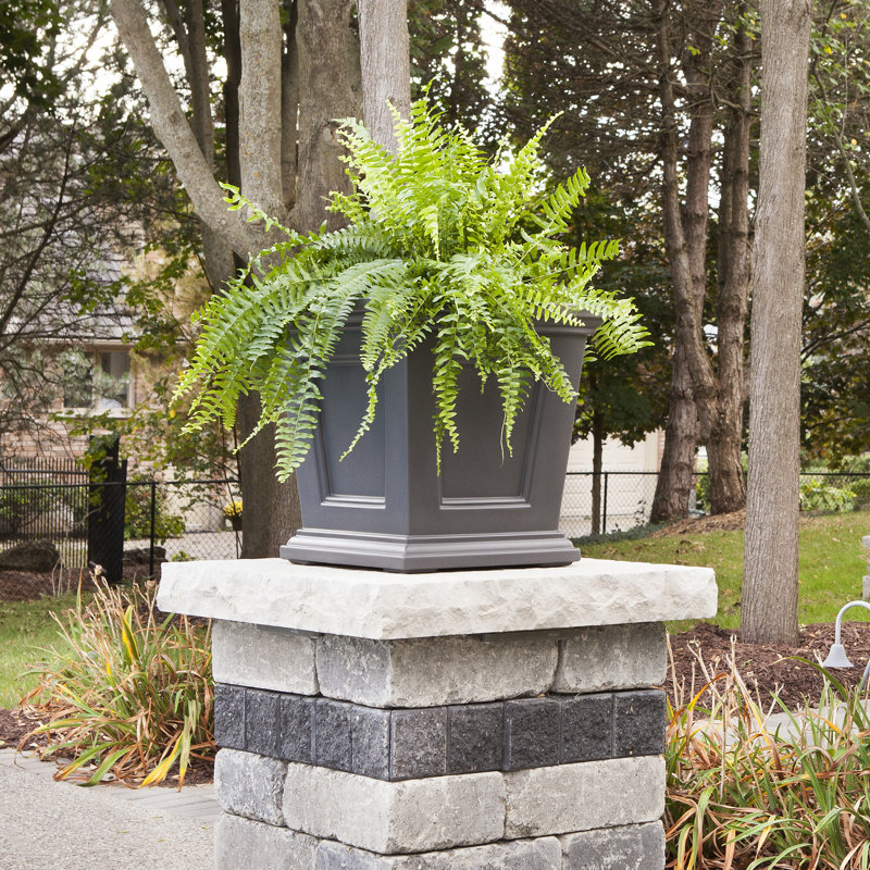 Anastassia Planter, Gray