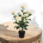 58cm Faux Plant in Pot