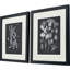 Mono Botanicals II S/2 Print by Libby Langdon Paragon