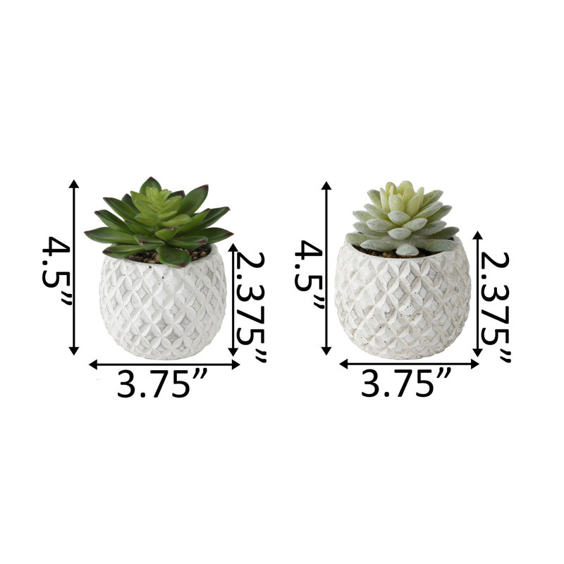 Beeck 4.5'' Faux Succulent in Pot
