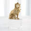 Lion Sculpture-Brass/Crystal