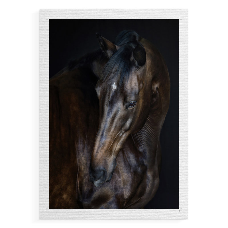 Sunlit Horses I - Impression sur toile seulement - NON-CADRE, H 18 po x l 12 po