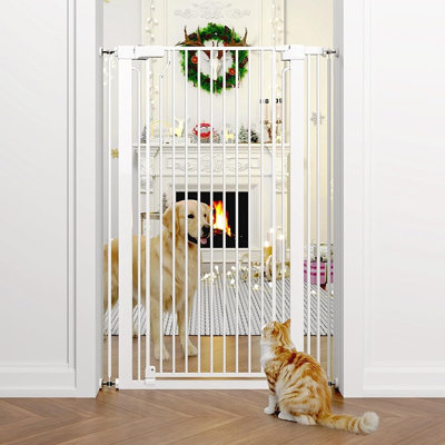 Steel Pet Gate