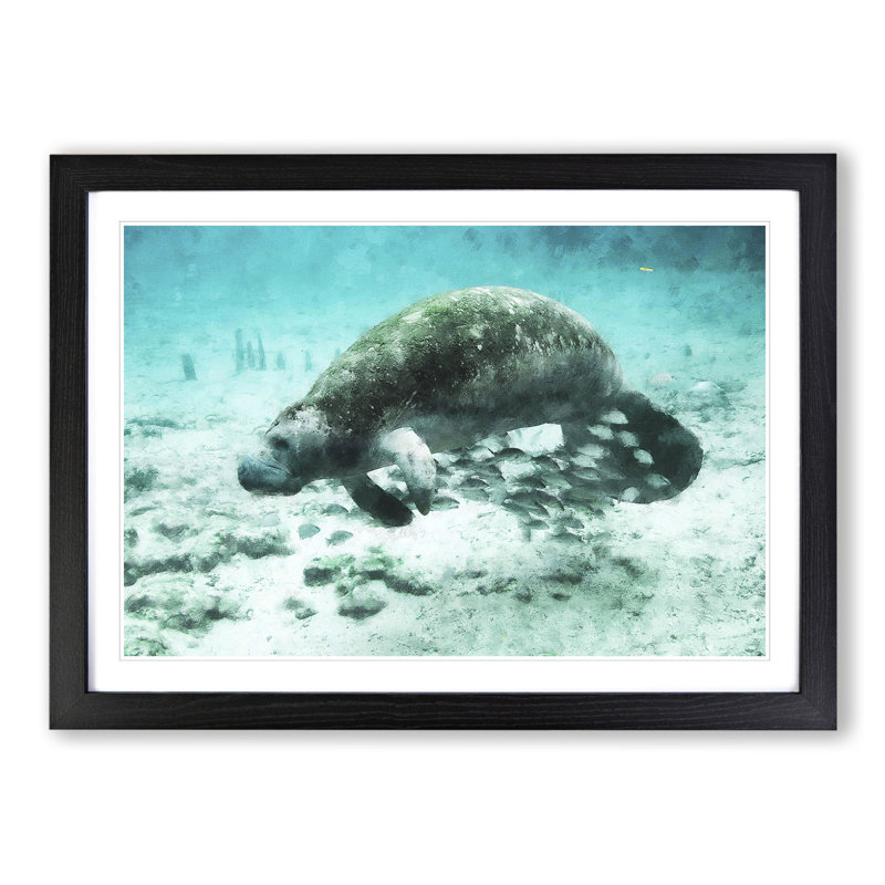 Manatee - Picture Frame Painting, Black Framed, 48cm H x 65cm W x 2cm D