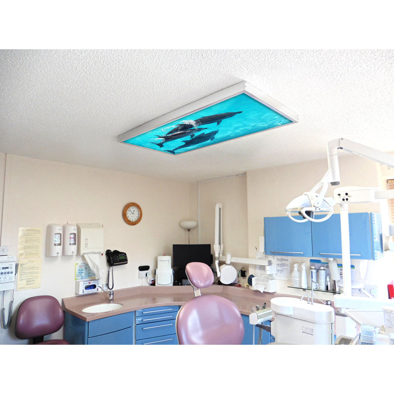 Couvre-lampes fluorescents pour salle de classe Ocean - pour luminaire 2 x 4 - par Octo Lights