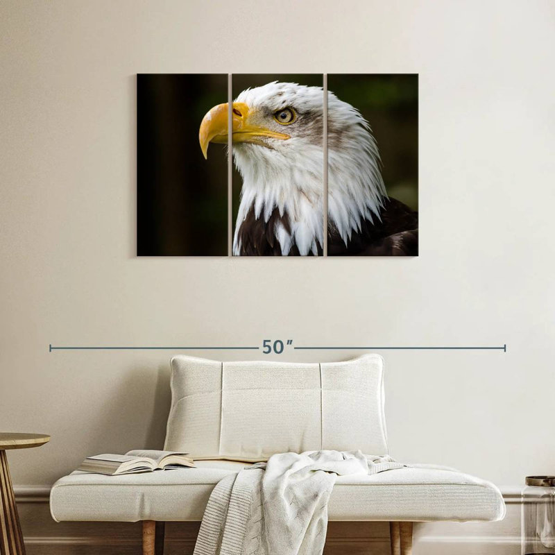 Brampt Fierce Bald Eagle, 24" H x 38" W