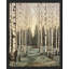 «Bouleaux noirs et blancs» sur papier-98266360-98266358
