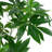 4'' Faux Money Tree Tree in Pot