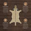 Tapis beige et brun Harjo-599866067