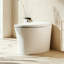 12" Rough-In Smart Bidet Toilet with Auto Flush on Exit, Heated Seat, Manual Flush for Power Outage, Multi-Functional