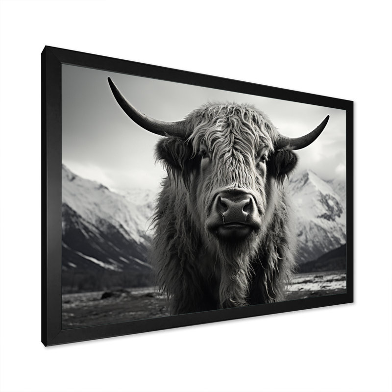 Portrait de yaks noir et blanc IV encadré sur toile, Noir, H 16 po x l 32 po x P 1 po