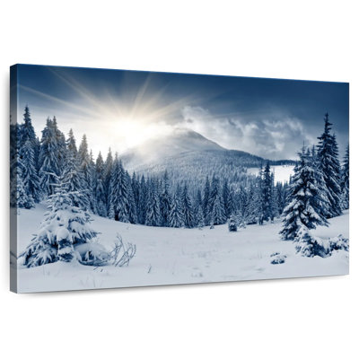 Alvord Snow Covered Pine Forest