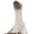 Elements Polyresin Duck Figurine