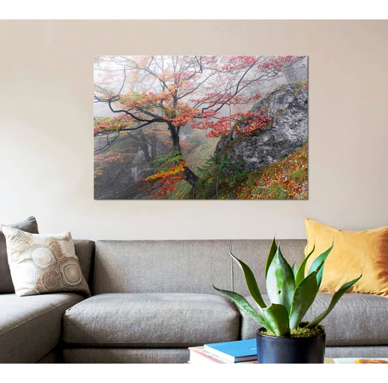 «Euphoria», reproduction de photo sur toile, H 18 po x l 26 po x P 1,5 po, Pas de tapis, Toile tendue