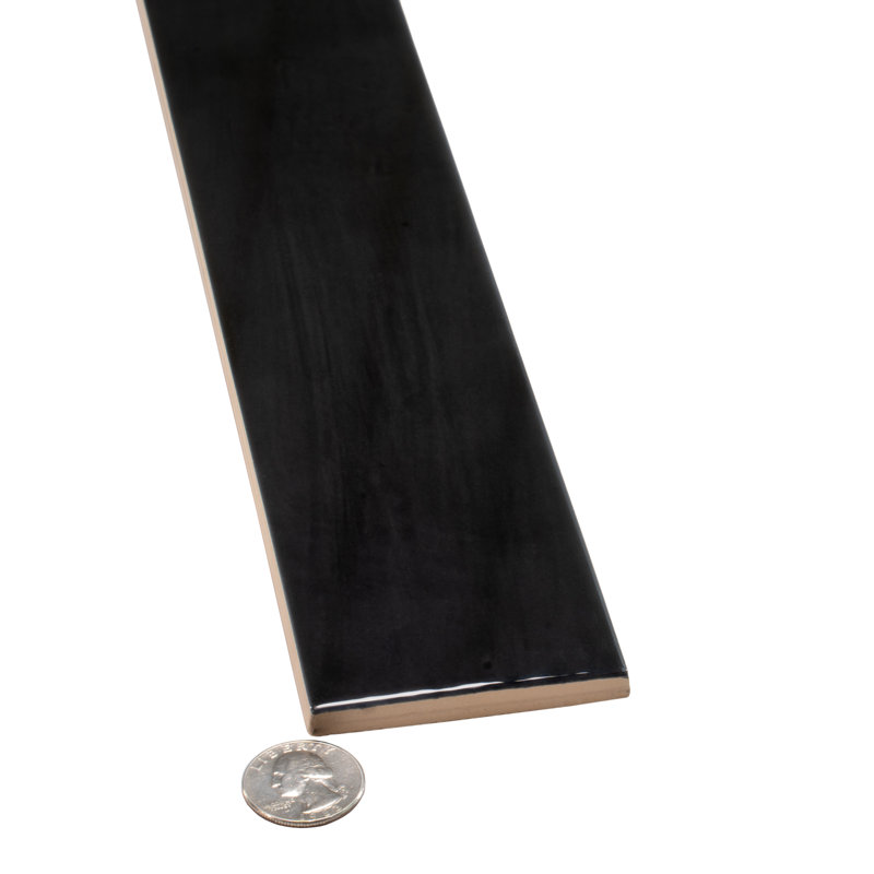 2.56'' W x 15.75'' L Ceramic Subway Singular Tile, Black