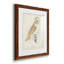 Barn Owl - ensemble de 4 reproductions de cadres photo-868360934-868360935