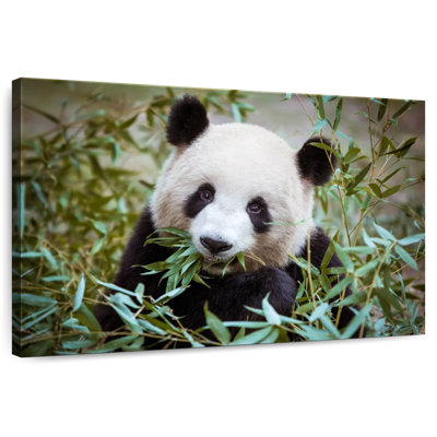 Panda With Bamboo