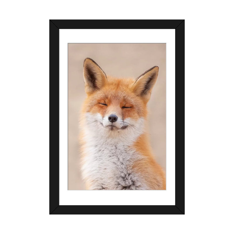 " Zen Fox ", Black Framed Fine Art Paper, White, 24" H x 16" W x 1" D