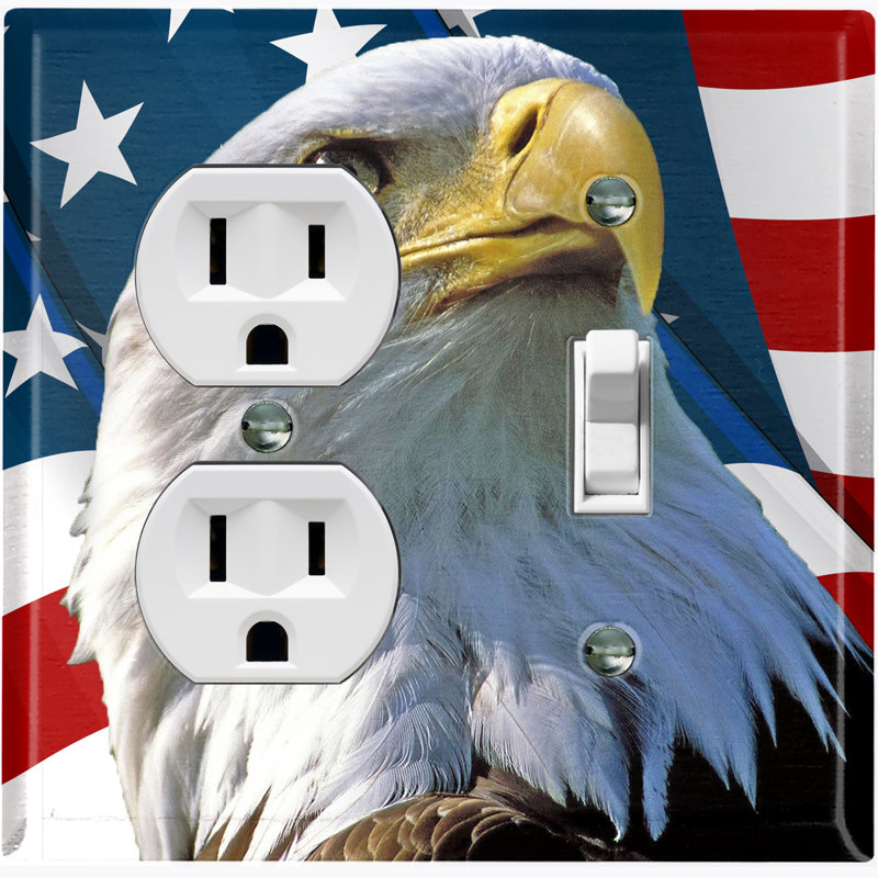 2 - Gang Combination Standard Wall Plate