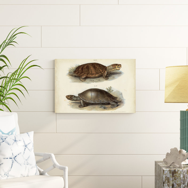 Paire de tortues antiques II, H 20 po x l 30 po x P 1 po