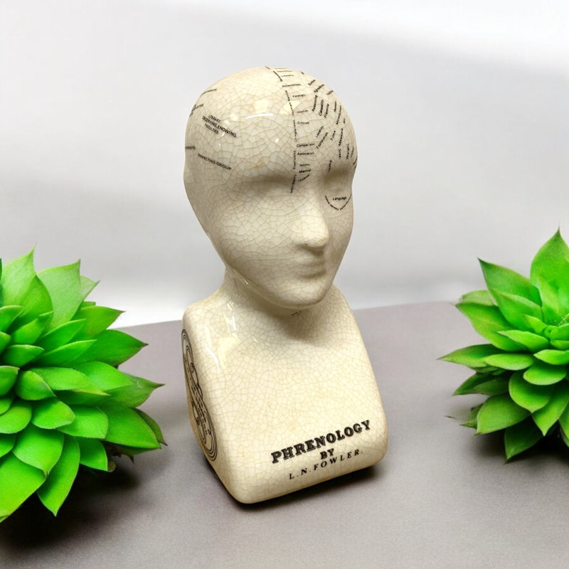 Jurnee Ceramic Phrenology Head Bust Victorian Study Ornament with Crackle Glaze Decorative Desk Sculpture