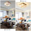 Aizeah Flush Mount-1433749587