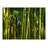 Bamboo Jungle Wall Mural-2007598524-1980751712