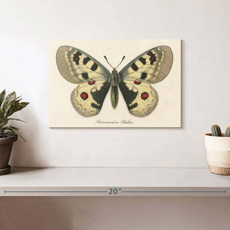 Brampt Natures Butterfly III, 8" H x 12" W