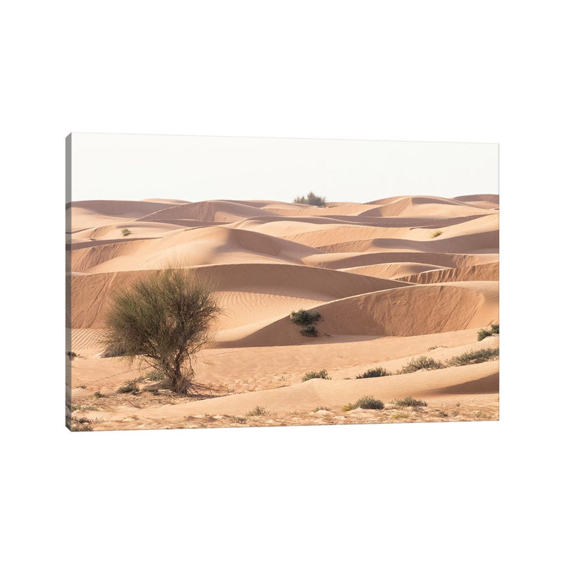 Desert With Sand. Abu Dhabi, United Arab Emirates. by Tom Norring - No Frame Gallery-Wrapped Canvas Giclée on Canvas