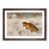 Walnut Framed selected