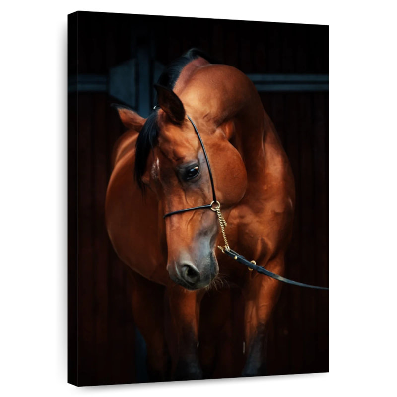 Brampt Horse In Stable, 12" H x 8" W