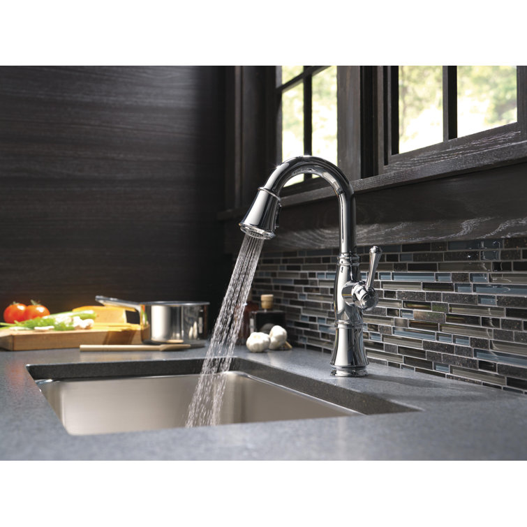 Cassidy Pull-Out Bar Faucet with Spray