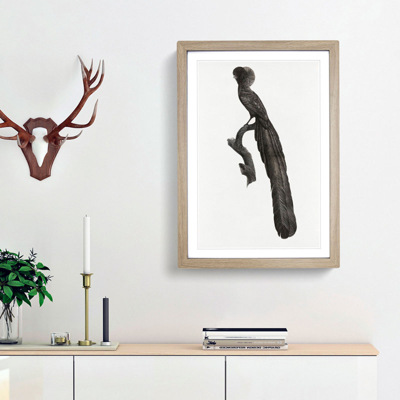 Magpie Bird of Paradise by Jacques Barraband - Picture Frame Art Print, 65cm H x 48cm W x 2cm D, Oak Framed