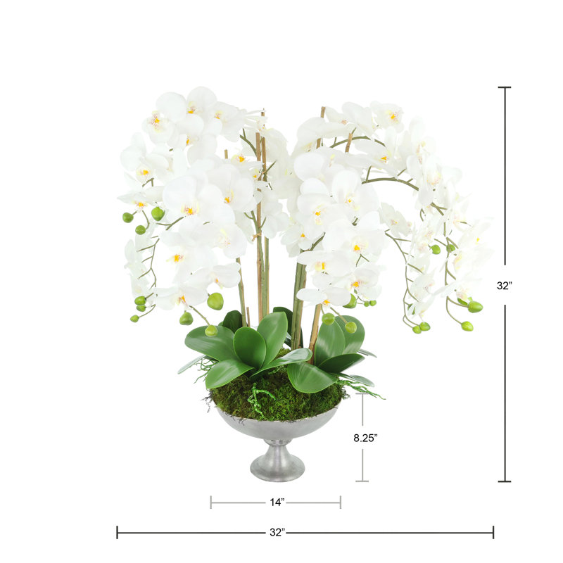 Orchid Arrangement in Metal Pedestal Vase