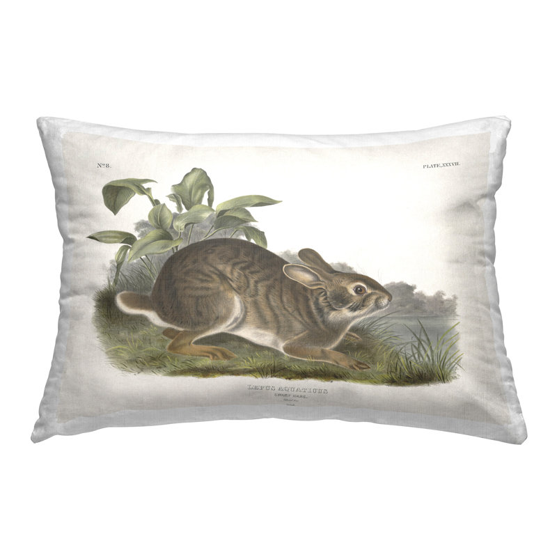 Design de coussin décoratif Vintage Cottage Hare par Wild Apple Portfolio