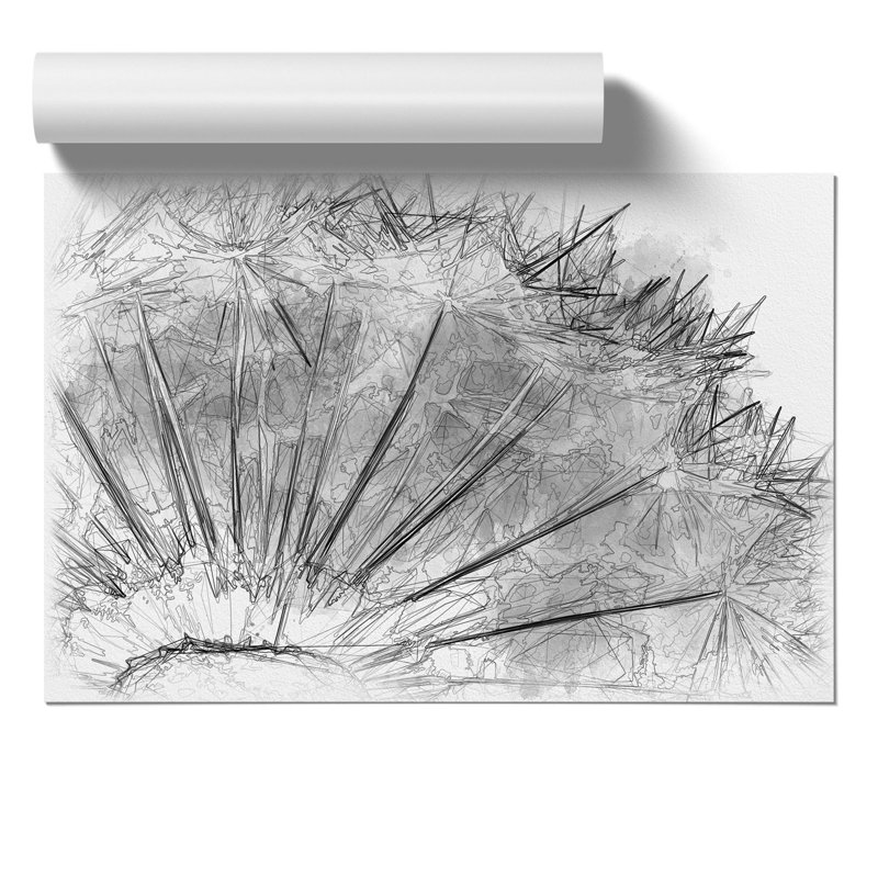 Dandelion Seeds Sketch - Frameless Print, 30cm H x 42cm W x 0.1cm D