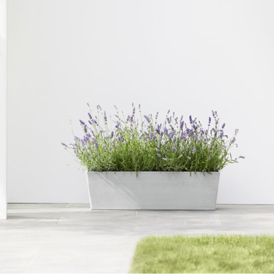 Pot Planter