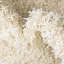 Tapis ivoire à poil long Eginhardt-325639610