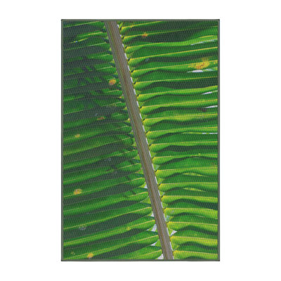Tapis vert