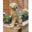 Haddox Plastic Garden Statue