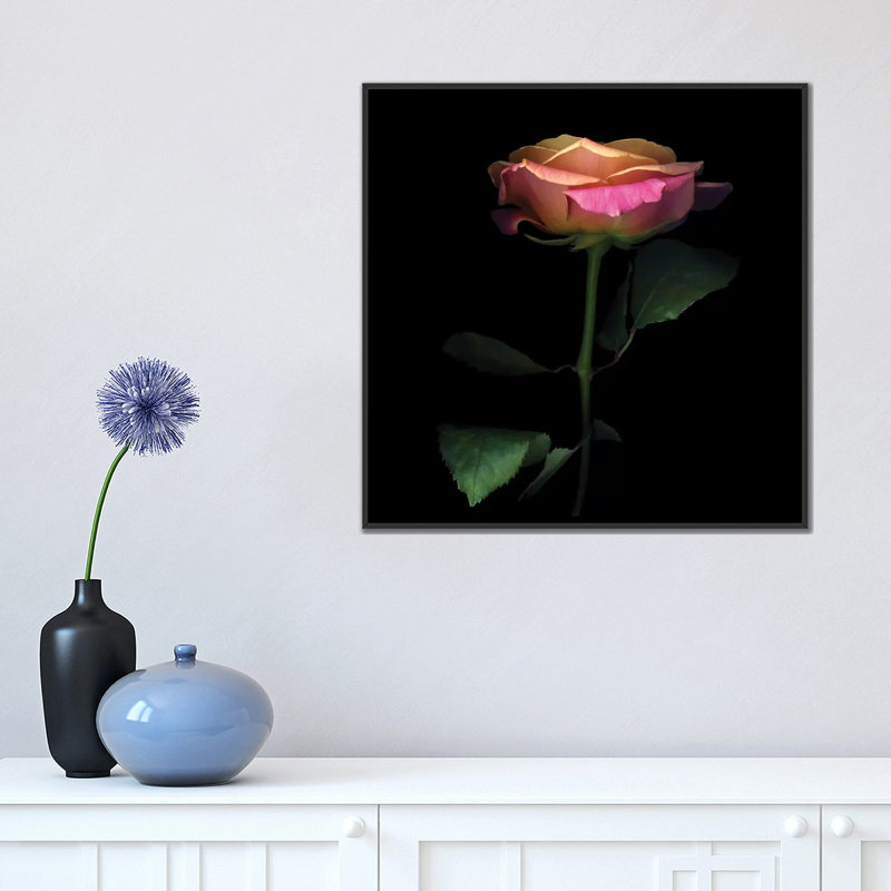 The Glowing Rose, reproduction de photo sur toile tendue, H 18 po x l 18 po x P 1,5 po, Toile avec cadre noir, Pas de tapis